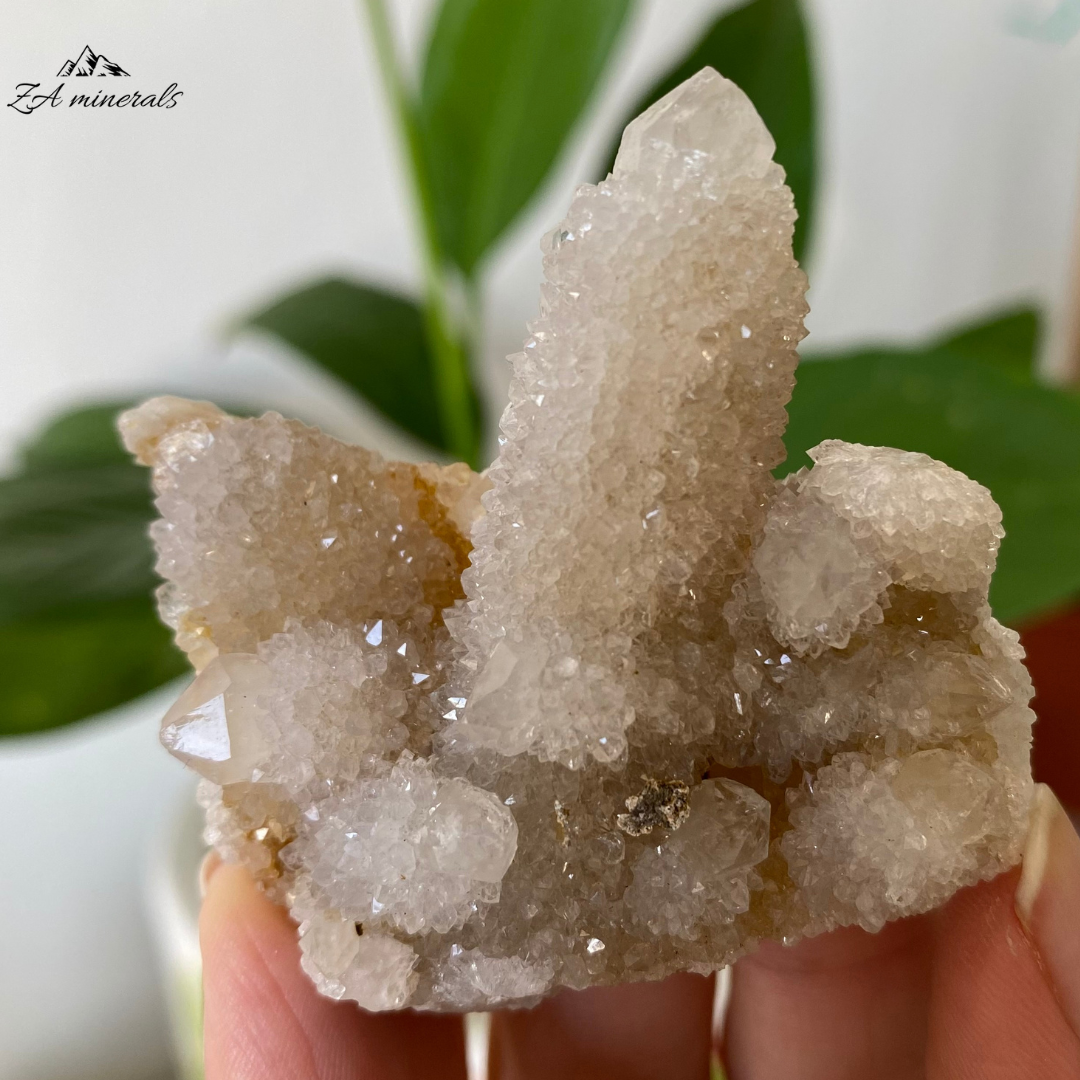 White Cactus Quartz 43g IG11