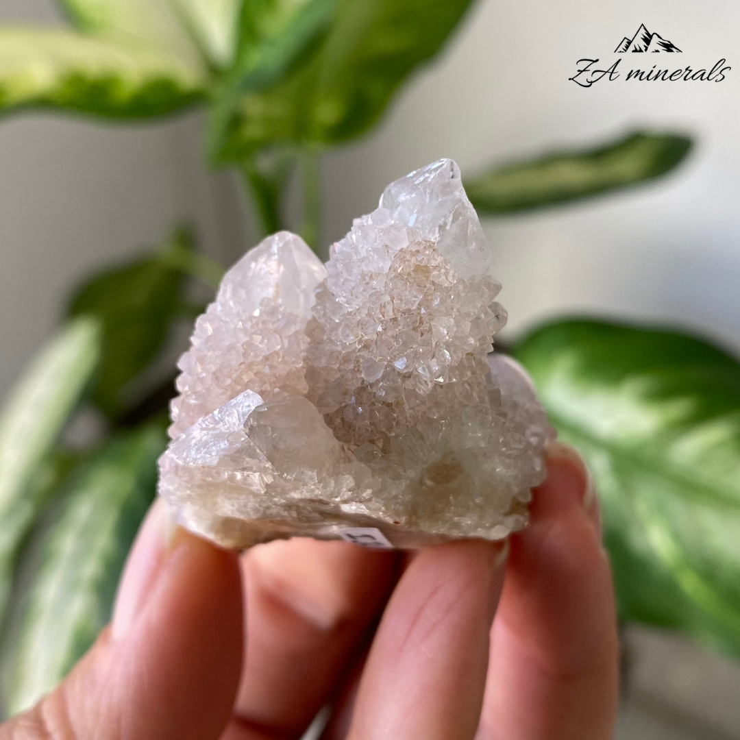 White Cactus Quartz 37g IG12