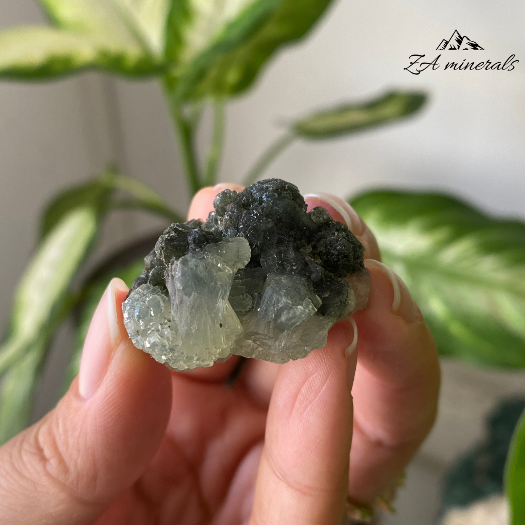 Prehnite Epidote 19g IH02