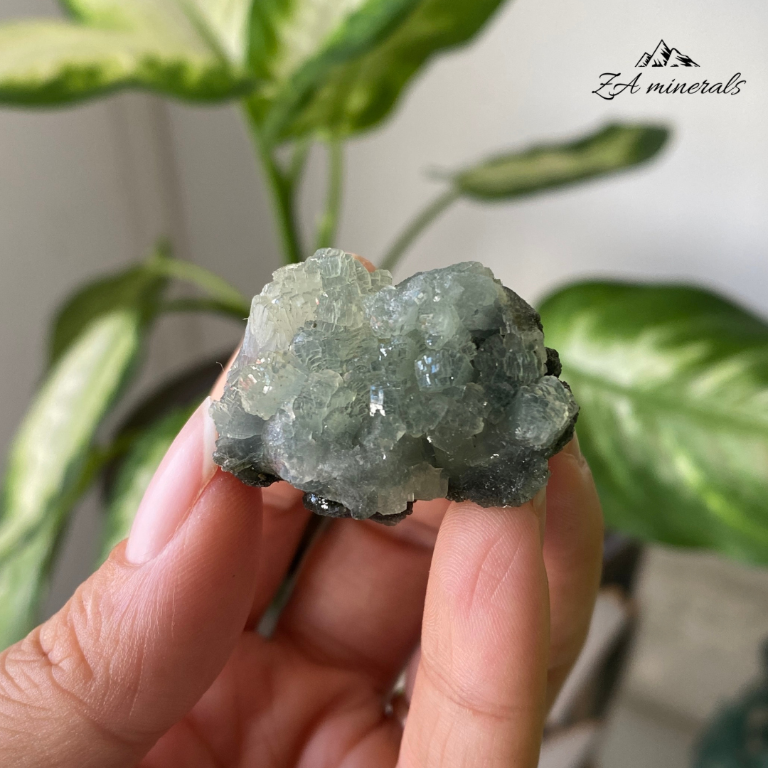 Prehnite Epidote 19g IH02