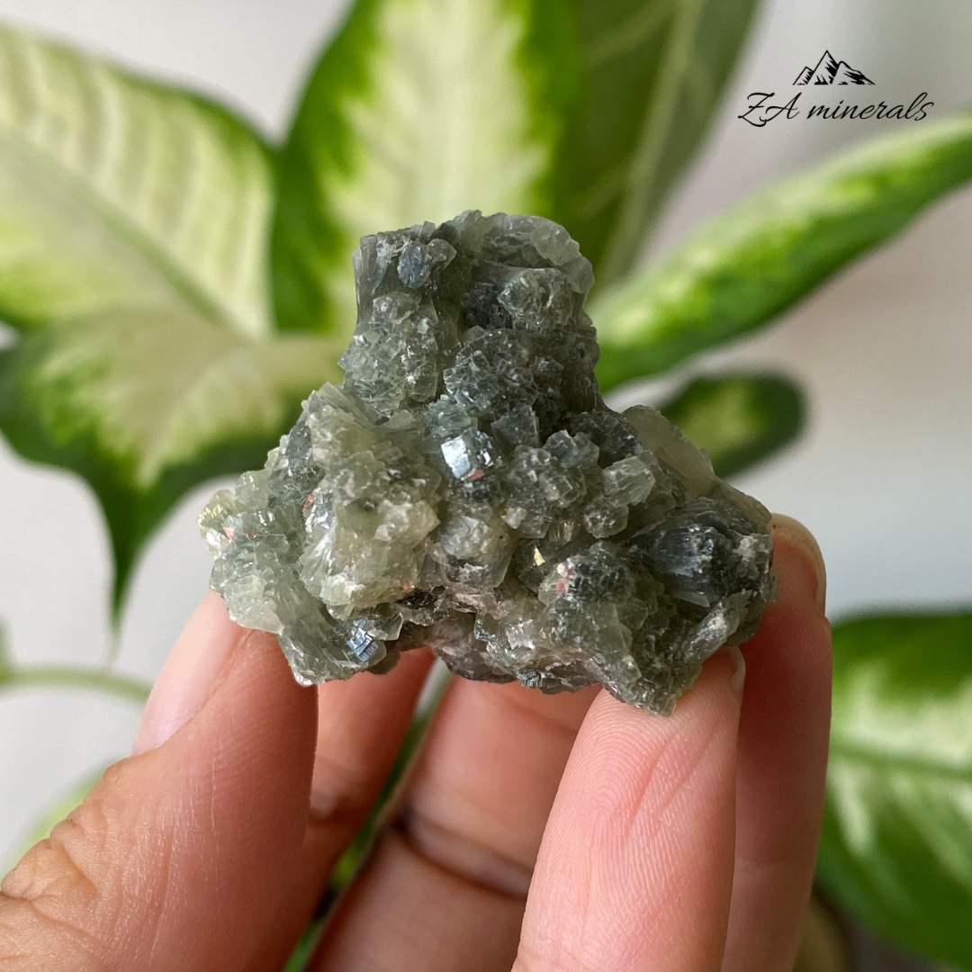 Prehnite Epidote 29g IH06