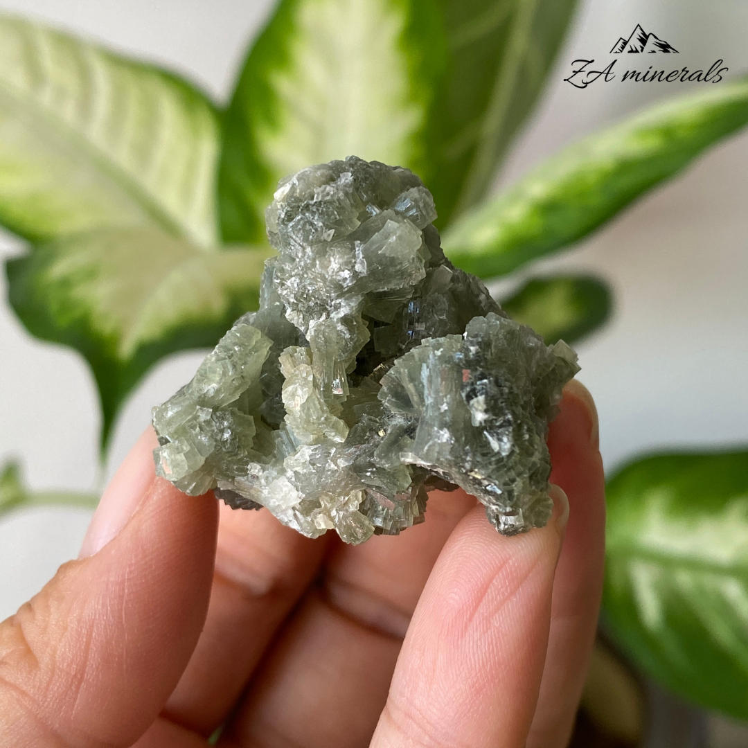 Prehnite Epidote 29g IH06