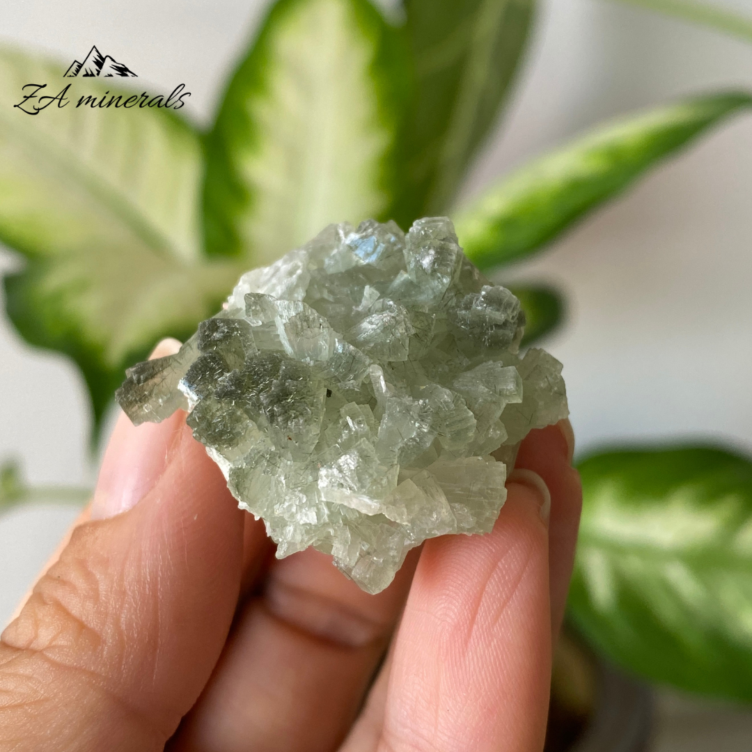 Prehnite Epidote 21g IH07