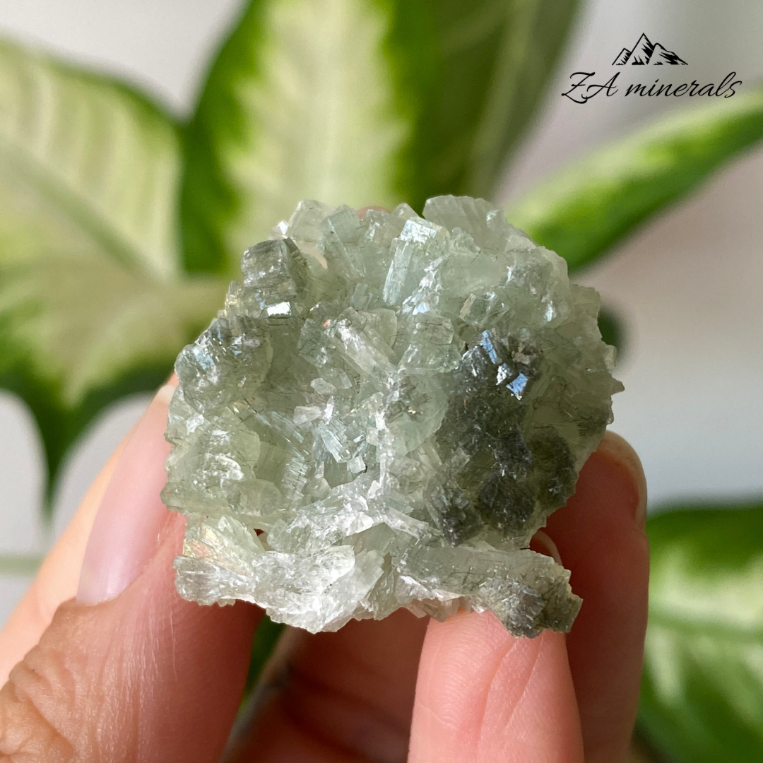 Prehnite Epidote 21g IH07