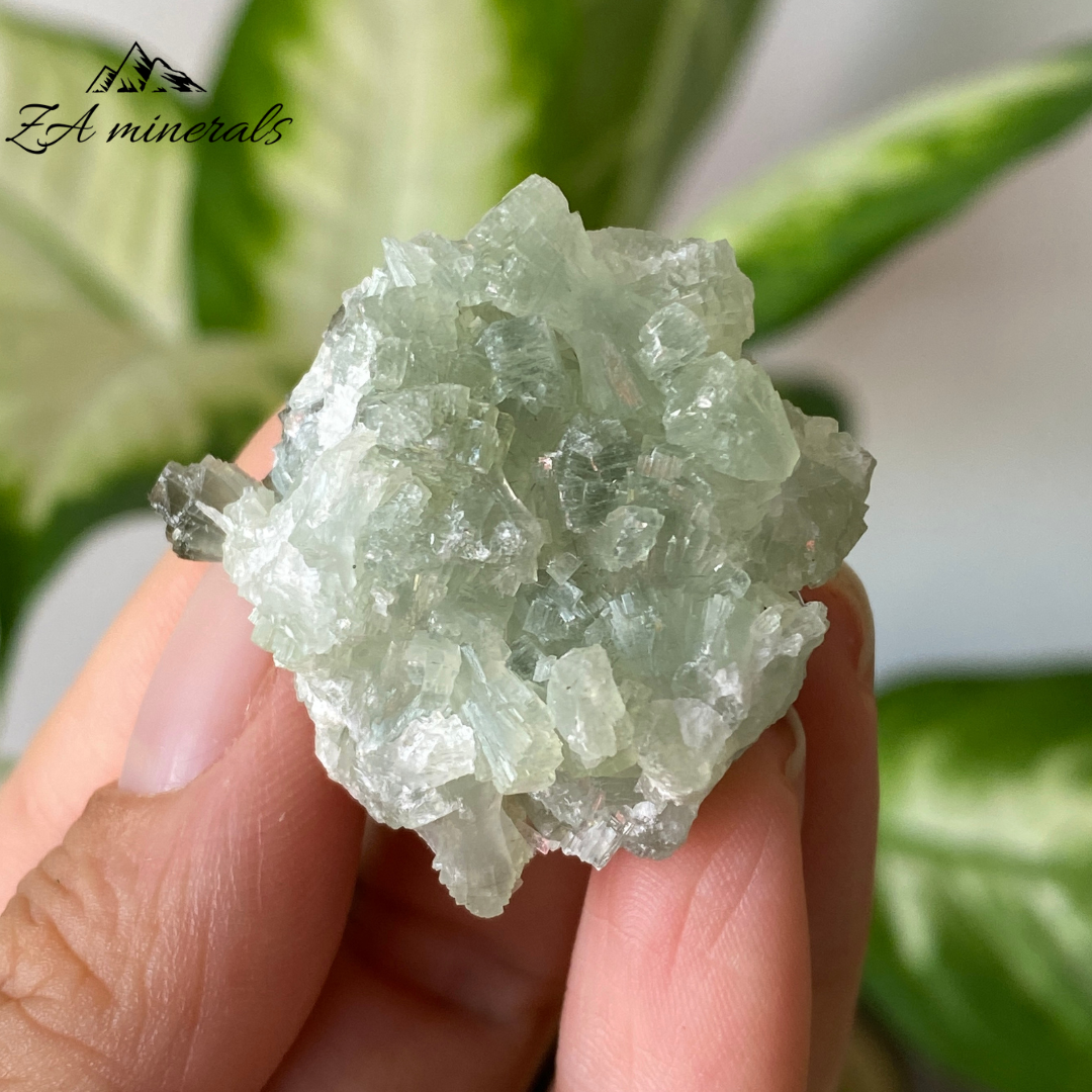 Prehnite Epidote 21g IH07