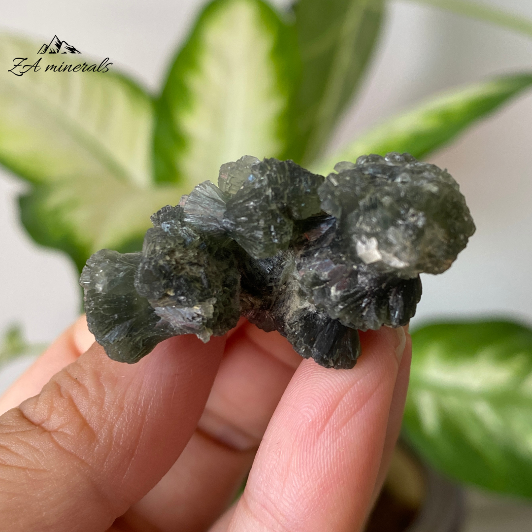 Prehnite Epidote 18g IH09