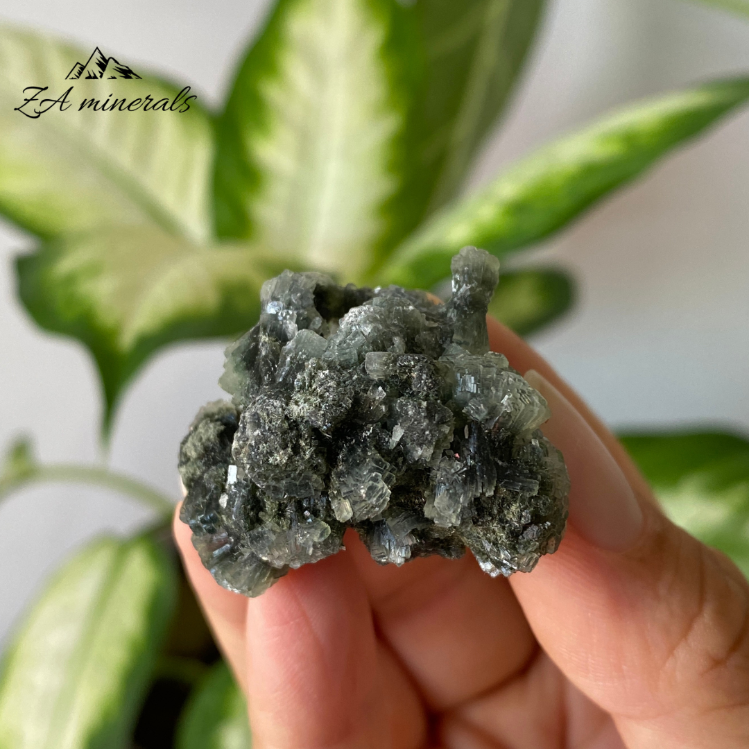 Prehnite Epidote 21g IH11