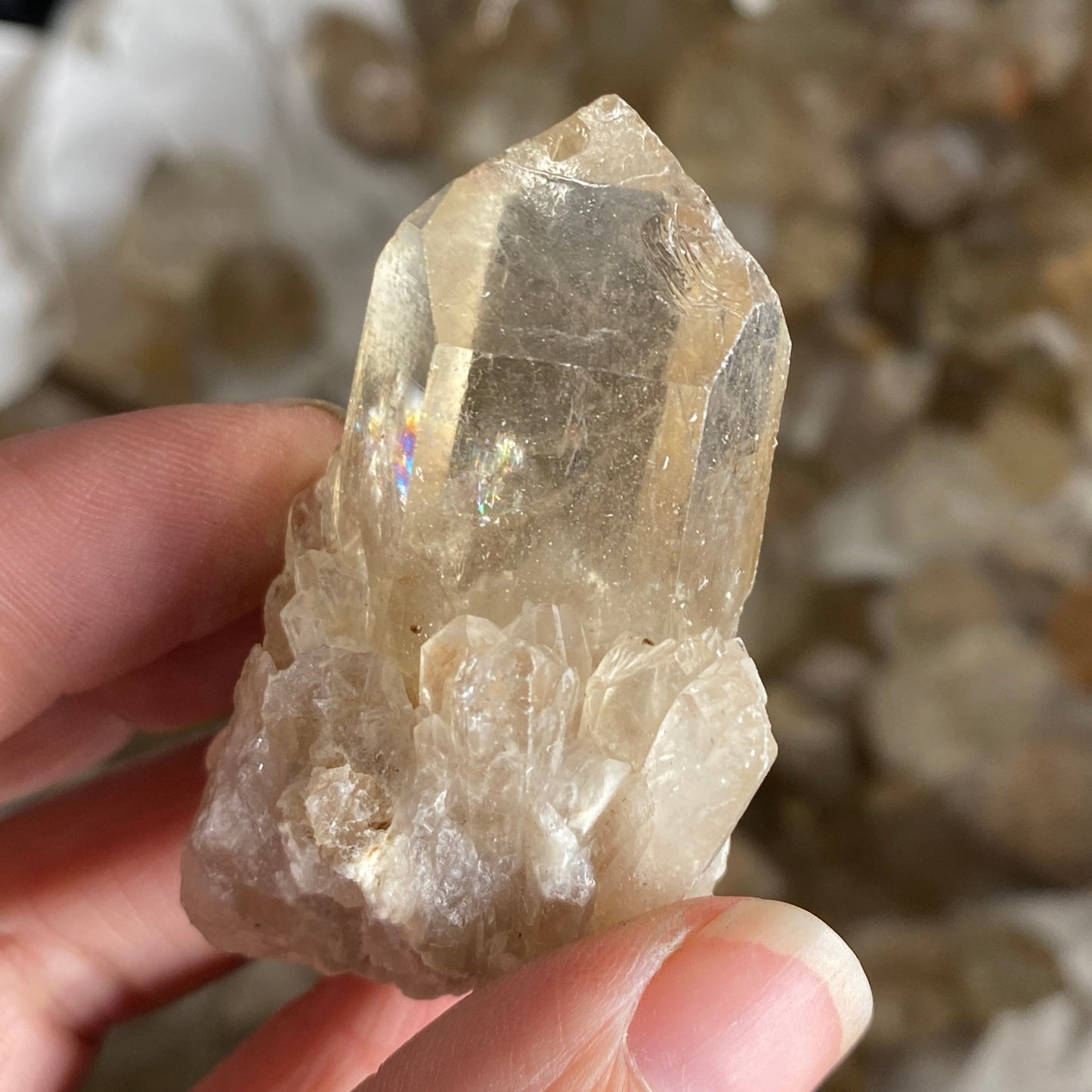 Kundalini Citrine 1kg