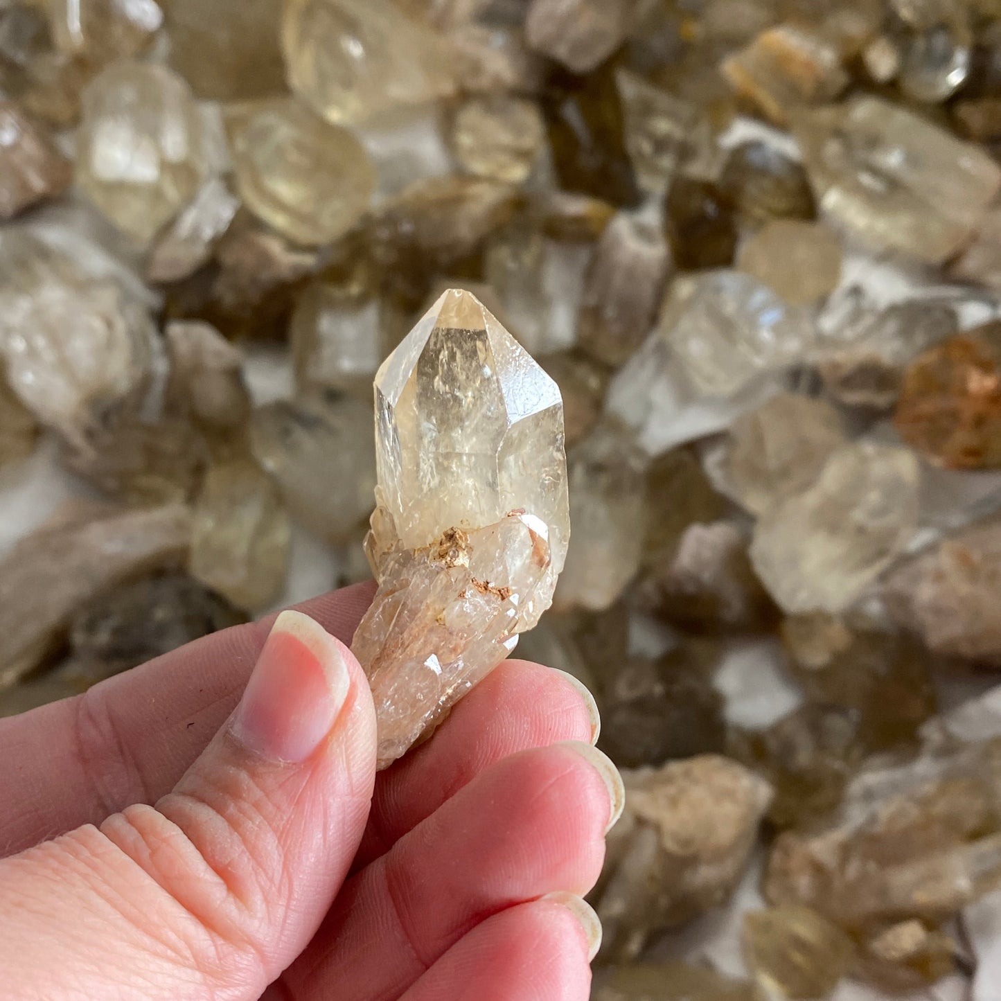 Kundalini Citrine 1kg