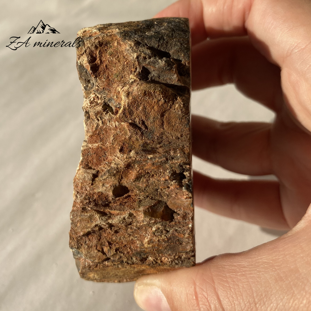 Polished Petrified Wood Slice 0.263kg IW16