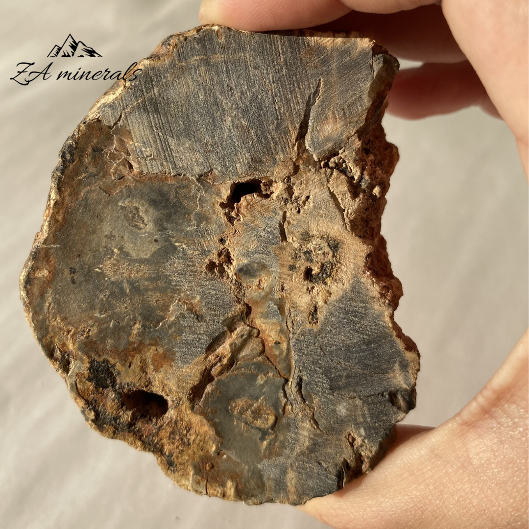 Polished Petrified Wood Slice 0.263kg IW16