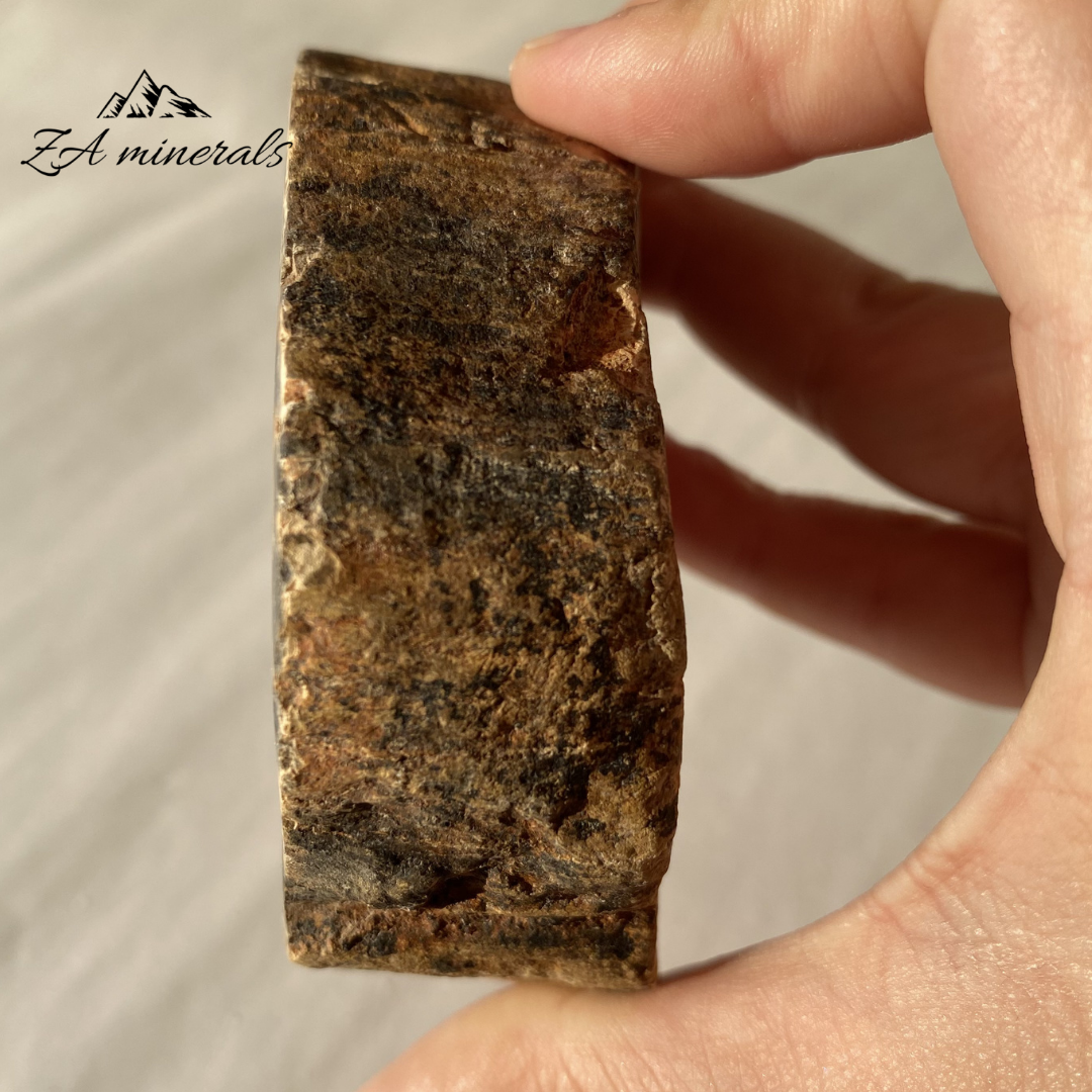 Polished Petrified Wood Slice 0.263kg IW16