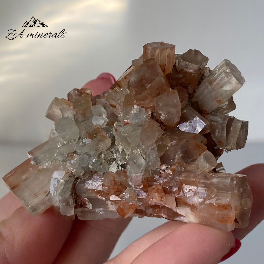 'Golden Healer' Cuarzo Cactus Blanco 60g IB19 