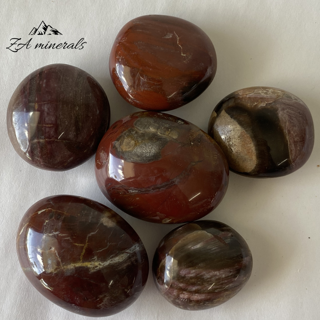 Polished Petrified Wood Pebbles (x6) 0.250kg GB15