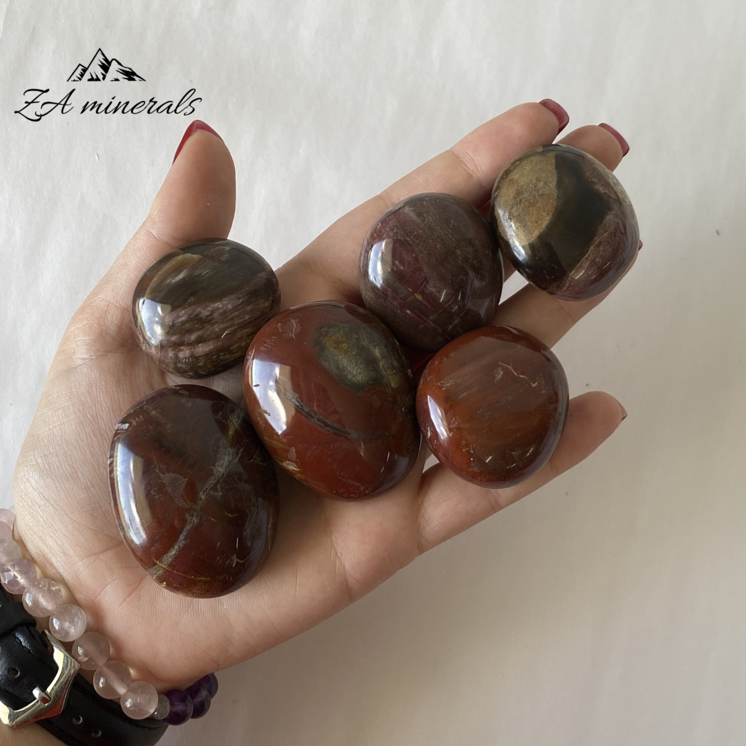Polished Petrified Wood Pebbles (x6) 0.250kg GB15