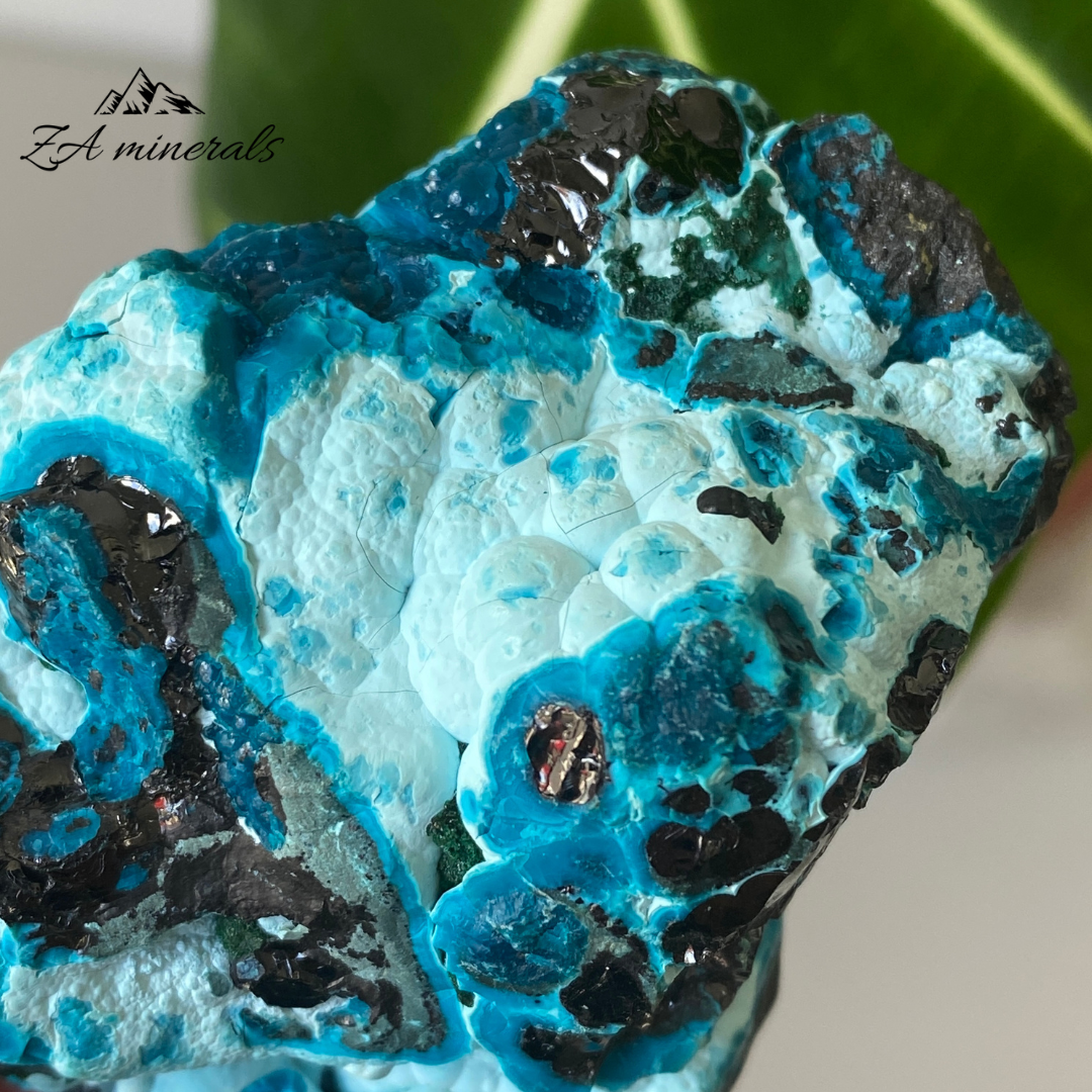 Heterogenite Chrysocolla 262g IA11