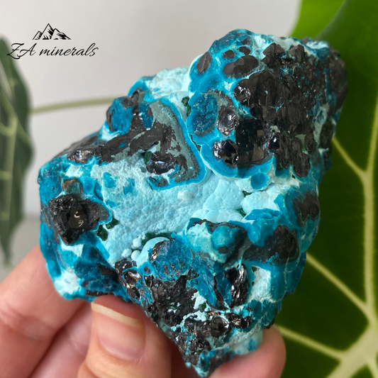 Heterogenite Chrysocolla 262g IA11