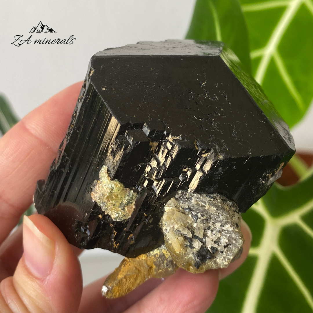 Black Tourmaline & Hyalite 276g IA08