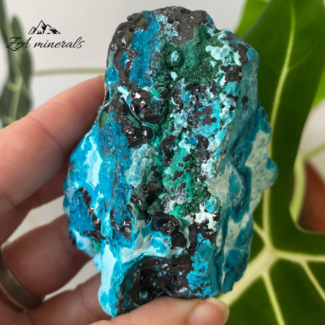 Heterogenite Chrysocolla 262g IA11