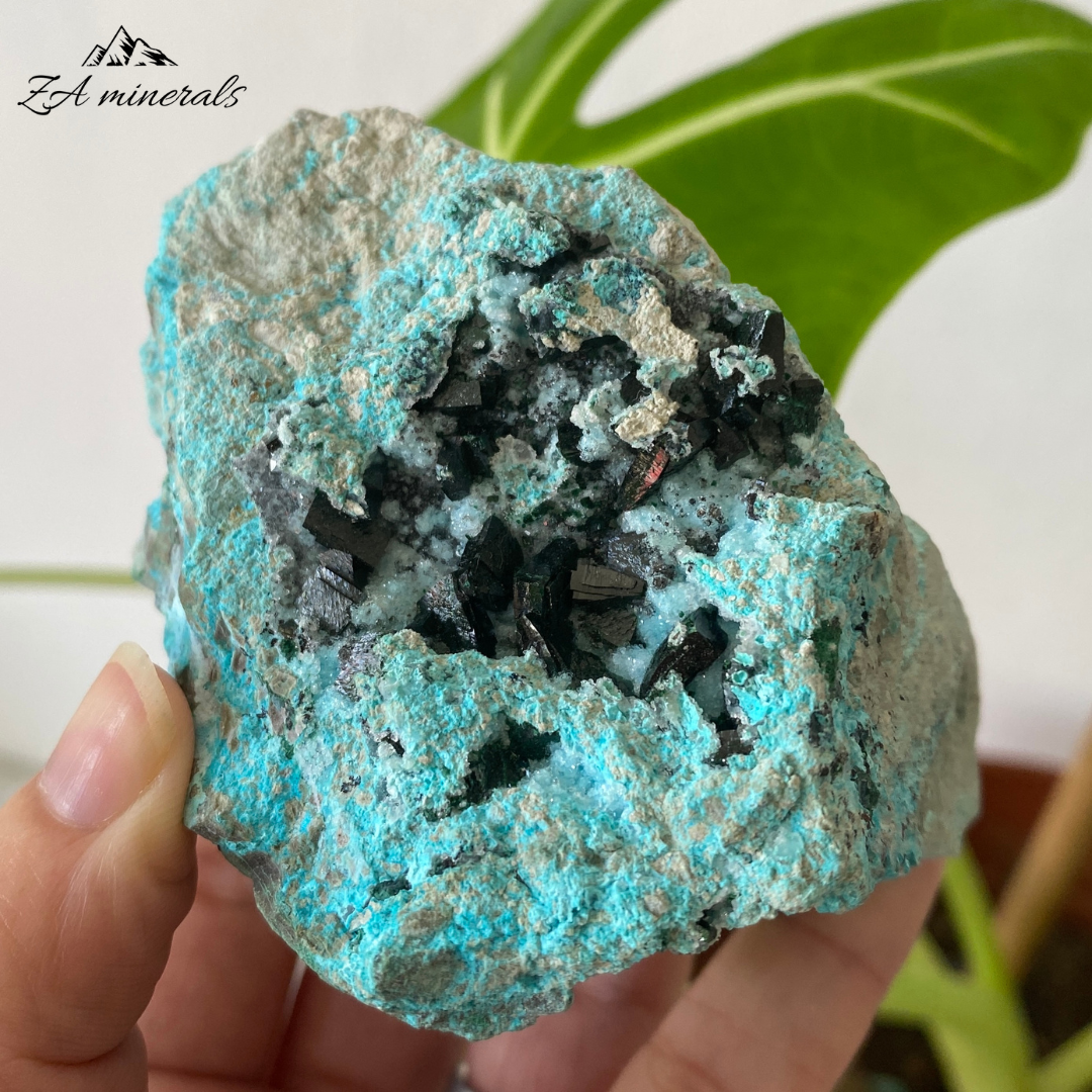 Chrysocolla with Primary Malachite 250g IA14