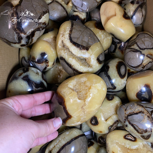 Polished Yellow Septarian Eggs 1kg