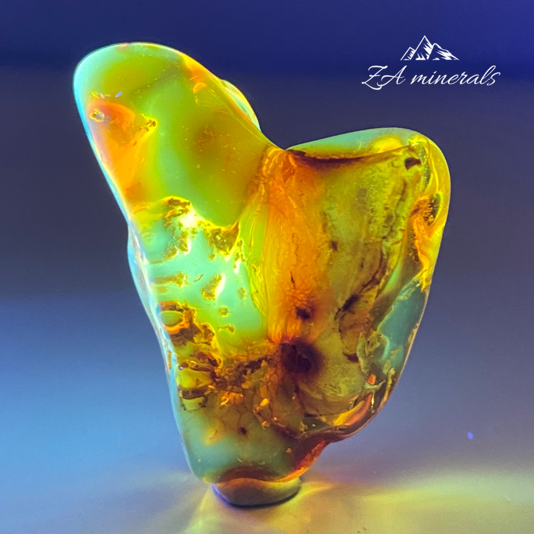 Baltic Amber HV08