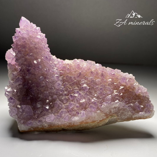 Amethyst Cactus Quartz Cluster HU16